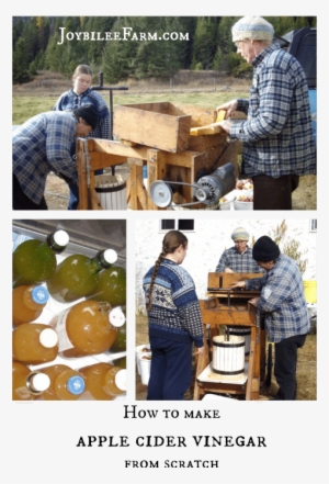 How To Make Apple Cider Vinegar - Apple Cider Vinegar