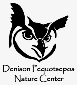 Life In A Rock Wall - Denison Pequotsepos Nature Center