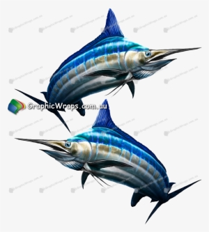 Marlin - Graphics