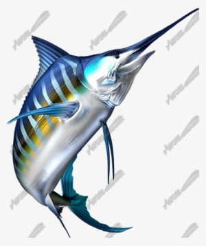 Striped Marlin - Blue Marlin Fish Png