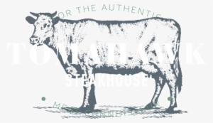 Tomahawk Steakhouse, Potto, Newcastle & Yarm - Dairy Cow