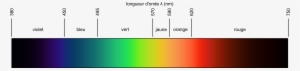 Spectre Visible Lineaire En Longueur D Onde - Number - 1665x395 PNG ...