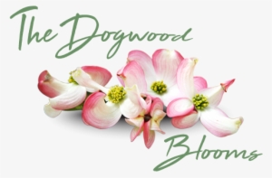The Dogwood Blooms - Pink Dogwood Flower Png