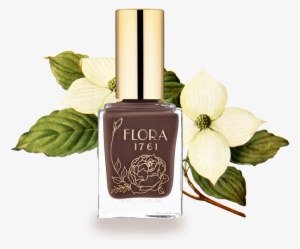 Nail Lacquer In Dogwood - Lacquer