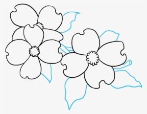 How To Draw Dogwood Flowers - Flower
