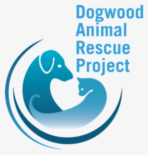 Contact Information - Project Pitch