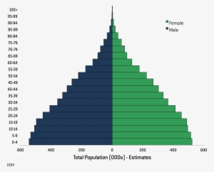 Population By Age And Sex - Population Pyramid United States