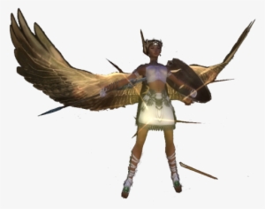 User Toasty Curo Abiem - Cliff Swallow