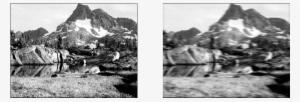 Images/image Processing Nb Effects 28 0 - Audubon Nature Calendar