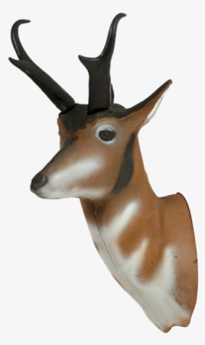 Pronghorn Antelope Archery Target Replacement Head