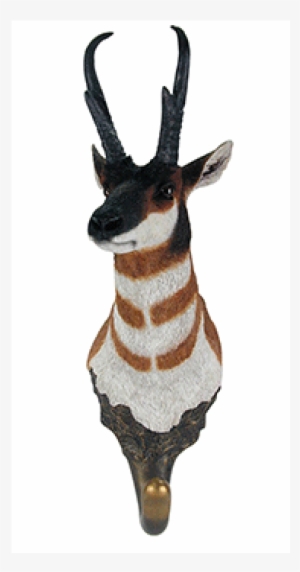 Antelope Wall Hook - Kudu