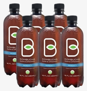 Serenity - B-tea Raw And Organic Kombucha Lemon Balm 8 Oz, Yellow