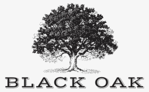 Black On Transparent Png Download - Black Oak Wine Logo