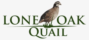 Lone Oak Quail - Benchmark Space Systems