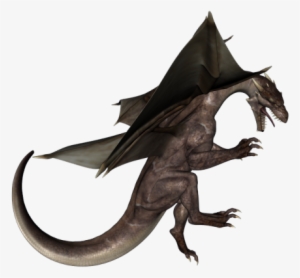 Dragon 3d Model - 3d Modeling