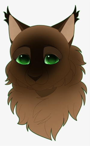 Headshot - Cat
