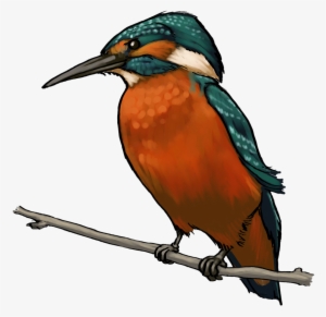 Free To Use Amp Public Domain Clip Art - Kingfisher Clipart