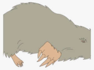 Mole Clipart Mole Hole - Grey