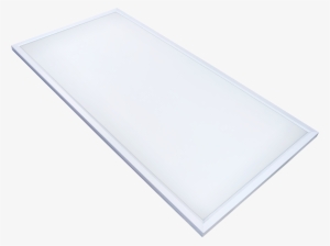 Design Lights Consortium - Latex Mattress Seed Organic Bassinet