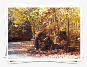 Iron Ore Heritage Trail Near Marquette - Grove