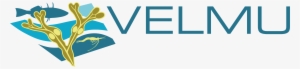 Resources/images/velmu Logo
