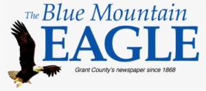 See Trump's Full Reaction To Cohen's Guilty Plea - Ivy League Network Logo