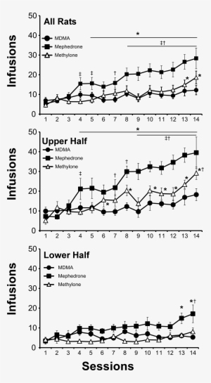 Creehan15 Fig2 Infusions - Diagram
