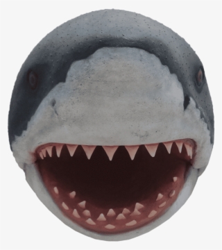 Shark Head Great White Fish Statue - Shark