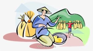Chinese Farmer Planting Rice Royalty Free Vector Clip - Chinese Farmer Transparent Png