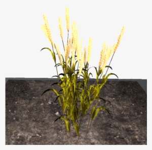 Empyrion Galactic Survival Grain