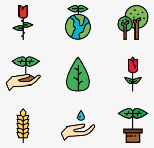 Ecology And Nature - Ecology