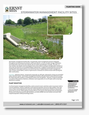 Stormwater Management Printable Planting Guide - Management