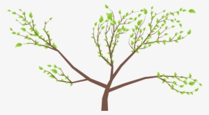 Twig