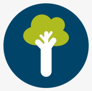 Discovery Zone, Inc.