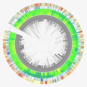 Itol Tree - Disc Brake
