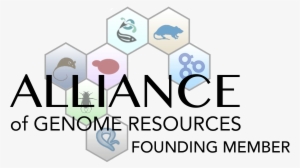 Alliance Of Genome Resources