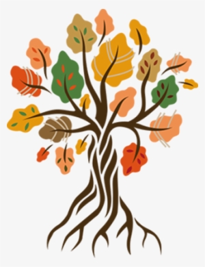 Introduction To Community And Primary Health Care (ebook)