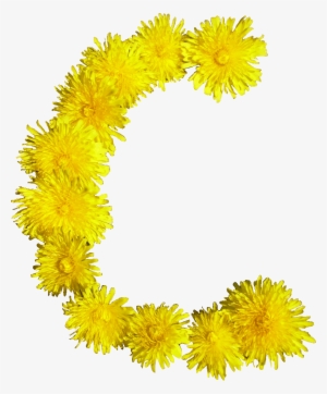 File - Blumen-c - Blumen C