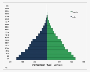 Click On The Graph To See It Full Size - Stratford Population Pyramid