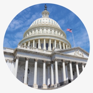 Barnyard Crew Beefs - Poster: Tupungato's Us National Capitol, 61x41cm.