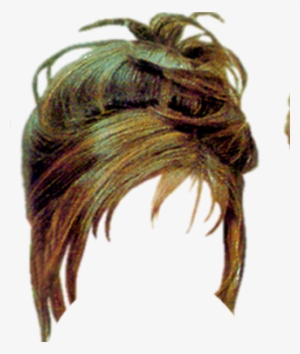 Pelucas Png Para Photoshop - Insect