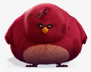 Angry Birds 2 png download - 1024*645 - Free Transparent Angry