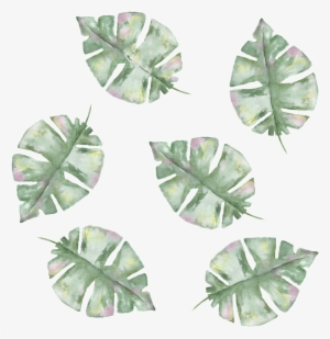 Png Transparente Para Verde Pintada A Mano Las Hojas - Portable Network Graphics