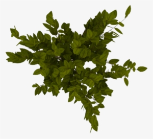 Index Of /mueblespng/arboles - Tree