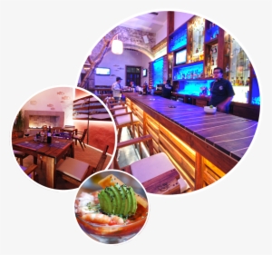 El Mejor Restaurante De Mariscos - Shellfish