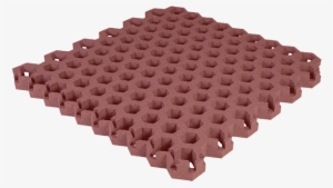 Grass Grid Sbr Of Ours Helps Making Your Garth For - Rasengittermatte