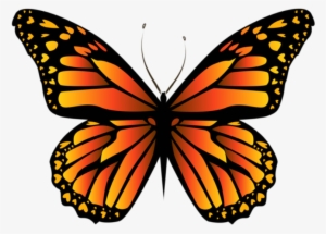 Borboletas Borboleta Tons De Laranja E Preta Png - Monarch Butterfly