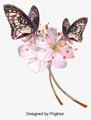 Desenho Pintado À Mão Borboleta Padrão De Design - Cartoon