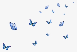 0 10737a E4a809d1 L - Papillons En Png