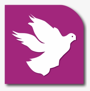 Metro La Paz - Estacion Metro La Paz